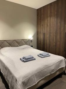 Ένα ή περισσότερα κρεβάτια σε δωμάτιο στο Superior Apartment in City Centre