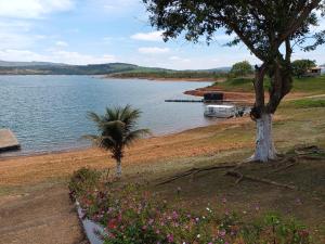 una palmera y un barco en un cuerpo de agua en pousada tucano, en São José da Barra