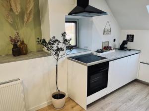 a kitchen with a sink and a plant in a pot at Apartman Old Corner in Virovitica
