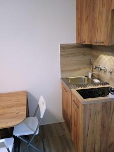 Kuchyň nebo kuchyňský kout v ubytování Ana Apartment River Sava