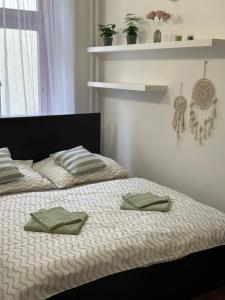 a bed with two green pillows on top of it at CenterPoint Apartment in Karlovy Vary