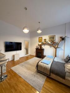 Телевизор и/или развлекательный центр в Carpe Vita explorer suit