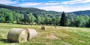Naturlandskabet i nærheden af feriehuset