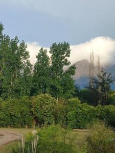 a field with trees and a mountain in the background at Lo de Abu in Villa Las Rosas