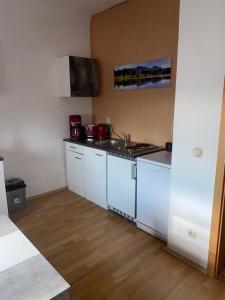 een keuken met witte kasten en een aanrechtblad bij Ferienwohnung Fernblick in Bannewitz