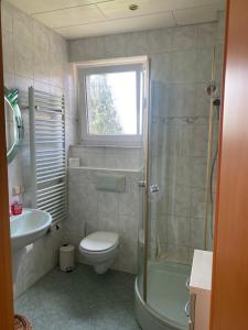 a bathroom with a toilet and a sink and a shower at Ferienwohnung Fernblick in Bannewitz