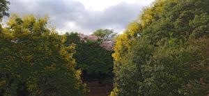 Naturlandskabet i nærheden af lejligheden