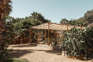 Zahrada ubytování Cien Palmas- Authentic Mexican Casita 1 -Downtown