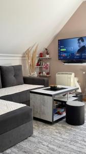 a living room with a couch and a tv at Apartman Ilić in Divčibare