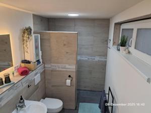 Wolfs Studio في بلومبيرج: حمام مع مرحاض ومغسلة