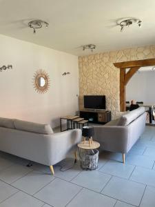 Una sala de estar con dos sofás y un televisor. en La petite maison des bleuets, en Romorantin-Lanthenay