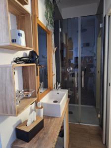 un baño con lavabo y ducha en Portico 32 - Merano centro, en Merano