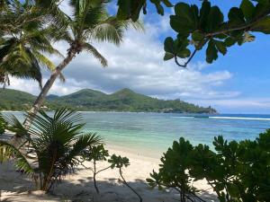 Φυσικό τοπίο κοντά σε αυτό το σαλέ