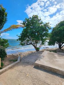 Gallery image of Portmore Paradise in Portmore