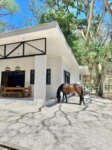 Fotografie z fotogalerie ubytování 3 Bedroom Home in Playa Pelada v destinaci Nosara