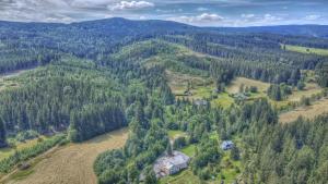 an aerial view of a house in the middle of a forest at Chata Hadimrška in Bartošovice v Orlických Horách