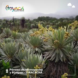 Φωτογραφία από το άλμπουμ του la cabaña naranjos σε Viracachá