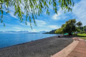 Casa de campo في لاغو رانكو: شجرة على شاطئ البحيرة