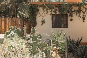 Zahrada ubytování Cien Palmas- Authentic Mexican Casita 2 -Downtown