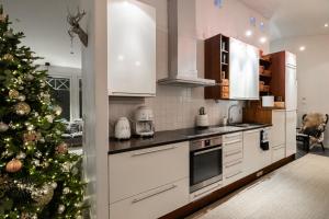 Kuchyň nebo kuchyňský kout v ubytování Arctic Circle Luxury House - close to Santa's Village
