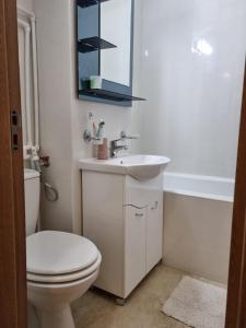 a bathroom with a toilet and a sink and a mirror at Iza Suite in Craiova