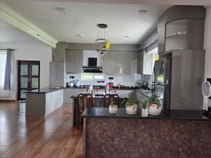 a kitchen with a island with plants on it at Pahaad Ko Ghaar in Nagarkot