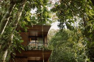 Balkón nebo terasa v ubytování Palmar Beach Lodge