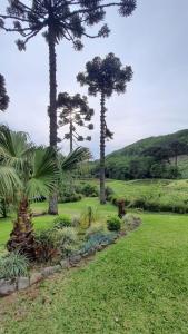a garden with three palm trees in a field at SIG - Rancho Desiam - Serra Gaúcha in Gramado +22 photos