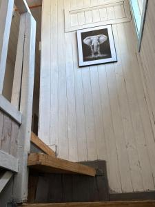 Fotografie z fotogalerie ubytování Hostal Route 5 v destinaci Pucón