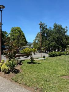 Κήπος έξω από το Hostal Route 5