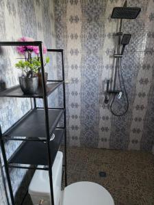 a bathroom with a toilet and a shower at Résidence Éden San pedro in San-Pédro +19 photos