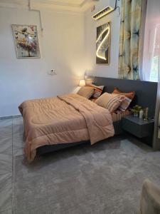 圣佩德罗Résidence Éden San pedro的房间里有一张大床的卧室 更多19张照片