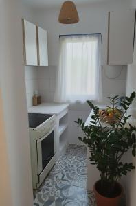 Η κουζίνα ή μικρή κουζίνα στο Beach House Kruče