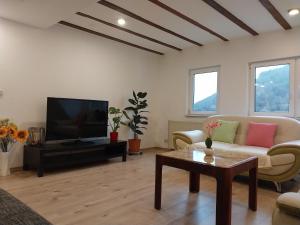 Μια τηλεόραση ή/και κέντρο ψυχαγωγίας στο Waldblick in Hirschhorn