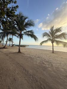 Φωτογραφία από το άλμπουμ του Sotavento 7 Relaxing Townhouse in Nueva Romana σε Boca del Soco