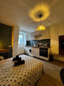 ブールジュにあるCharmant Appartement au Coeur de Bourges 25の大きなベッドとキッチンのある寝室