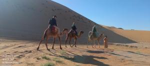 Hosté ubytování Daraa Valley House