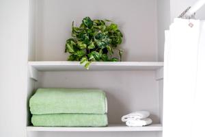 a shelf with a green towel and a plant at Jungle House Luxury Stays - Columbus Downtown Short North in Columbus