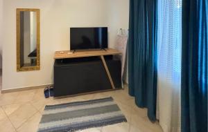 Μια τηλεόραση ή/και κέντρο ψυχαγωγίας στο Gorgeous Apartment In Opuzen With Wifi