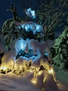 a christmas tree covered in snow at night at Dom Wypoczynkowy Słoneczny in Białka Tatrzanska