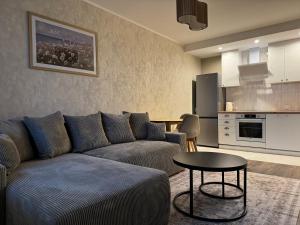 Η κουζίνα ή μικρή κουζίνα στο Lake View Apartment