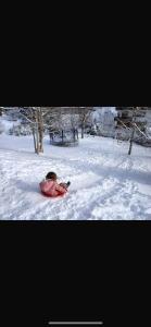 Ferienhaus Albmatte-Sauna im Haus-gemütliche Apartments v zimě