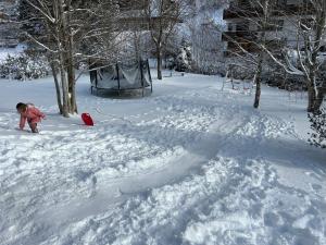 a little girl playing in the snow with a frisbee at Ferienhaus Albmatte-Sauna im Haus-gemütliche Apartments in St. Blasien +40 photos