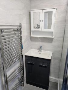a bathroom with a sink and a mirror and a shower at Modern One Bedroom Flat With Garden in Cardiff +1 photo