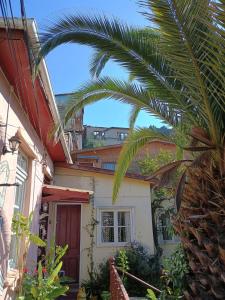 a palm tree in front of a house at Hermoso loft a pasos del plan de Valparaíso in Valparaíso