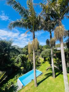 Bazén v ubytování Tropical Oasis in Oakura nebo v jeho okolí