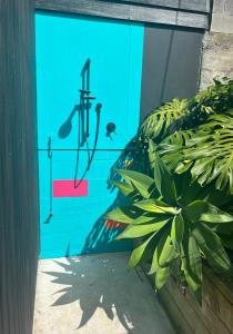 Bazén v ubytování Tropical Oasis in Oakura nebo v jeho okolí + 6 fotografií