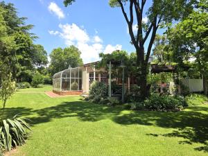 Κήπος έξω από το Grazia in King