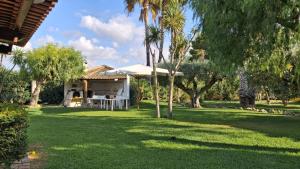 una casa in un cortile con palme di La Finestra su Mothia a Marsala