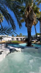a palm tree in the middle of a swimming pool at Villa Summer Wind - Palm Beach Agathois in Le Grau-dʼAgde